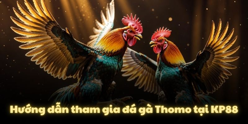 Hướng dẫn tham gia đá gà Thomo tại KP88